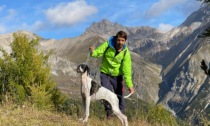 La cagnolona Linda è una campionessa internazionale