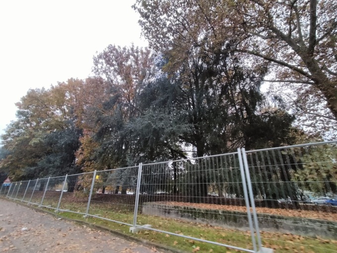 Metrotranvia, levata di scudi a Desio: “No al taglio degli alberi”