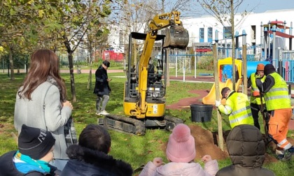 Giornata degli Alberi: a Monza ne saranno piantati 1300 entro marzo 2025