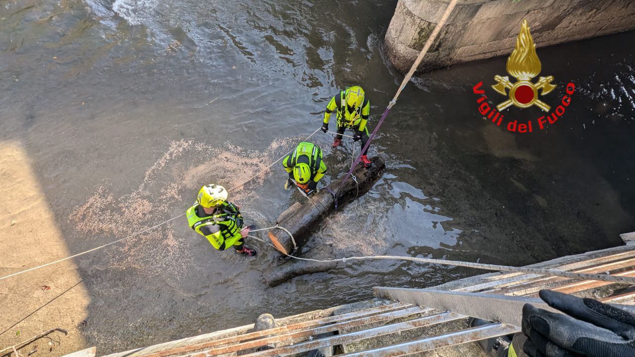 Monza tronco Lambro Ponte dei Leoni pompieri vigili del fuoco