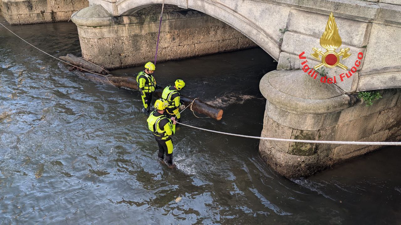 Monza tronco Lambro Ponte dei Leoni pompieri vigili del fuoco