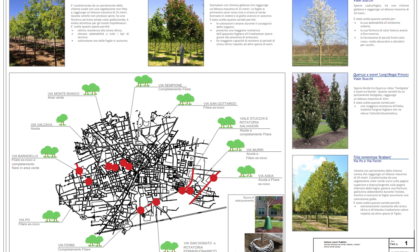 Nuovi viali alberati a Monza entro il 2025