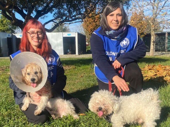 Due cani anziani trovati in un appartamento vuoto a Vedano