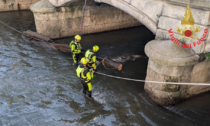 Rimosso il tronco incastrato sotto le arcate del ponte