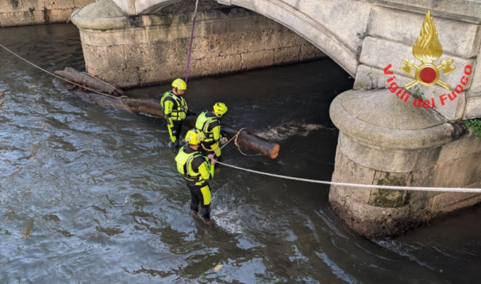 Rimosso il tronco incastrato sotto le arcate del ponte