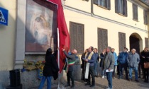 La Madonna Bogani è tornata a Cesano Maderno