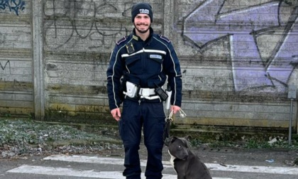 Abbandonati per strada, legati a un palo della luce: due cani salvati dalla Polizia locale di Monza