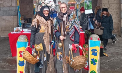 Anche cani e gatti hanno la loro Befana grazie all'Enpa