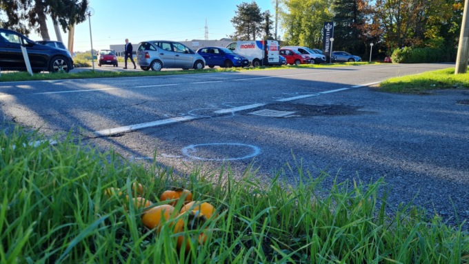 Travolse e uccise una donna mentre attraversava la strada: automobilista condannato