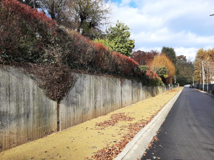 Che fine ha fatto il progetto della ciclovia Milano-Meda?