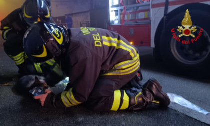 Incendio in cucina, intossicato il gatto