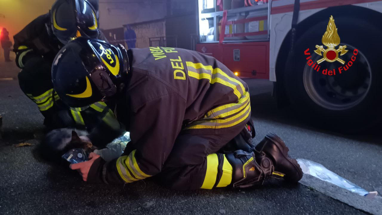 Monza vigili del fuoco pompieri incendio via Monte Ortigara mezzi gatto intossicato ossigeno