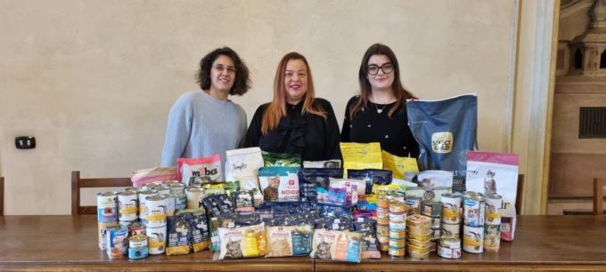 Pappe a volontà per i mici delle colonie feline con “A-Mici, Qua La Zampa!”
