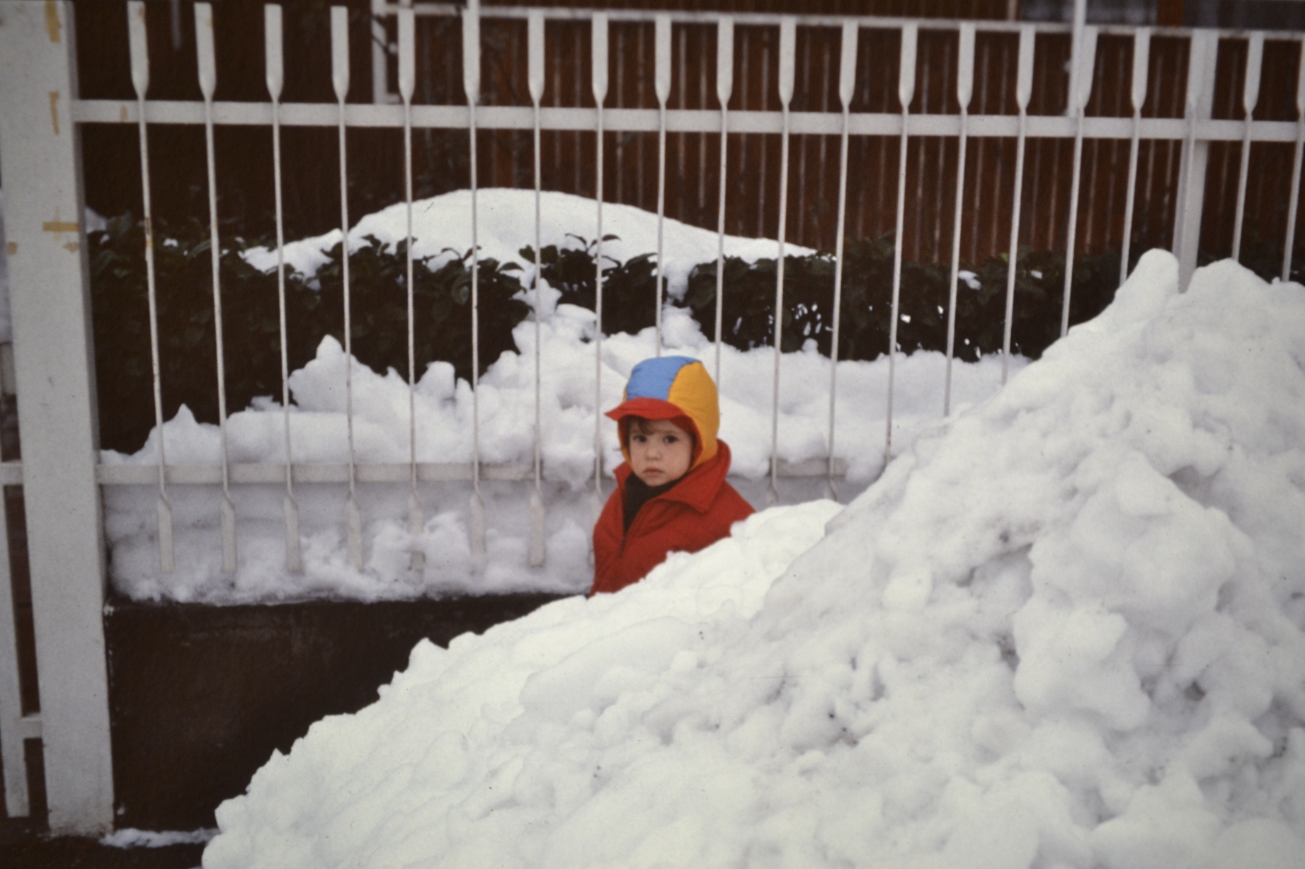 nevicata 13-15 gennaio 1985 LARA in foto quasi 3 anni (oggi 43 anni)