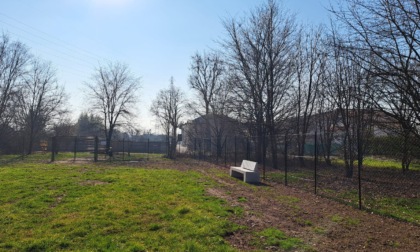 Nascerà una nuova area cani