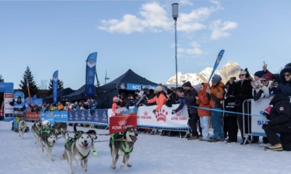 Di corsa, tra la neve, con i suoi husky