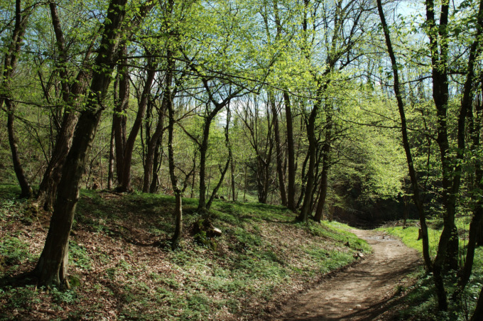 Vivere il Parco della Valle del Lambro: il calendario degli eventi 2025