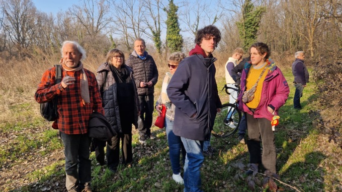 Pedemontana, abbattuto il bosco di Bernate: gli ambientalisti insorgono