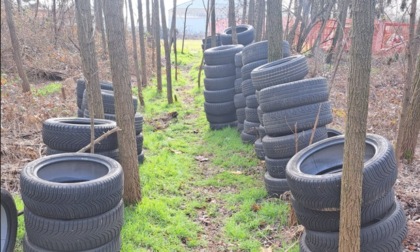 Dozzine di pneumatici abbandonati in un campo