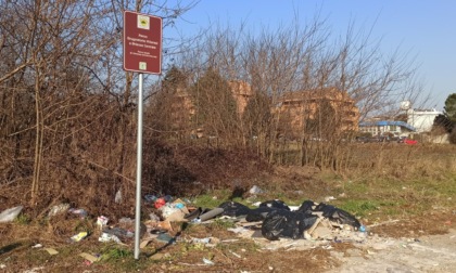 Sversamento abusivo di rifiuti nel parco: "Vogliamo le telecamere"