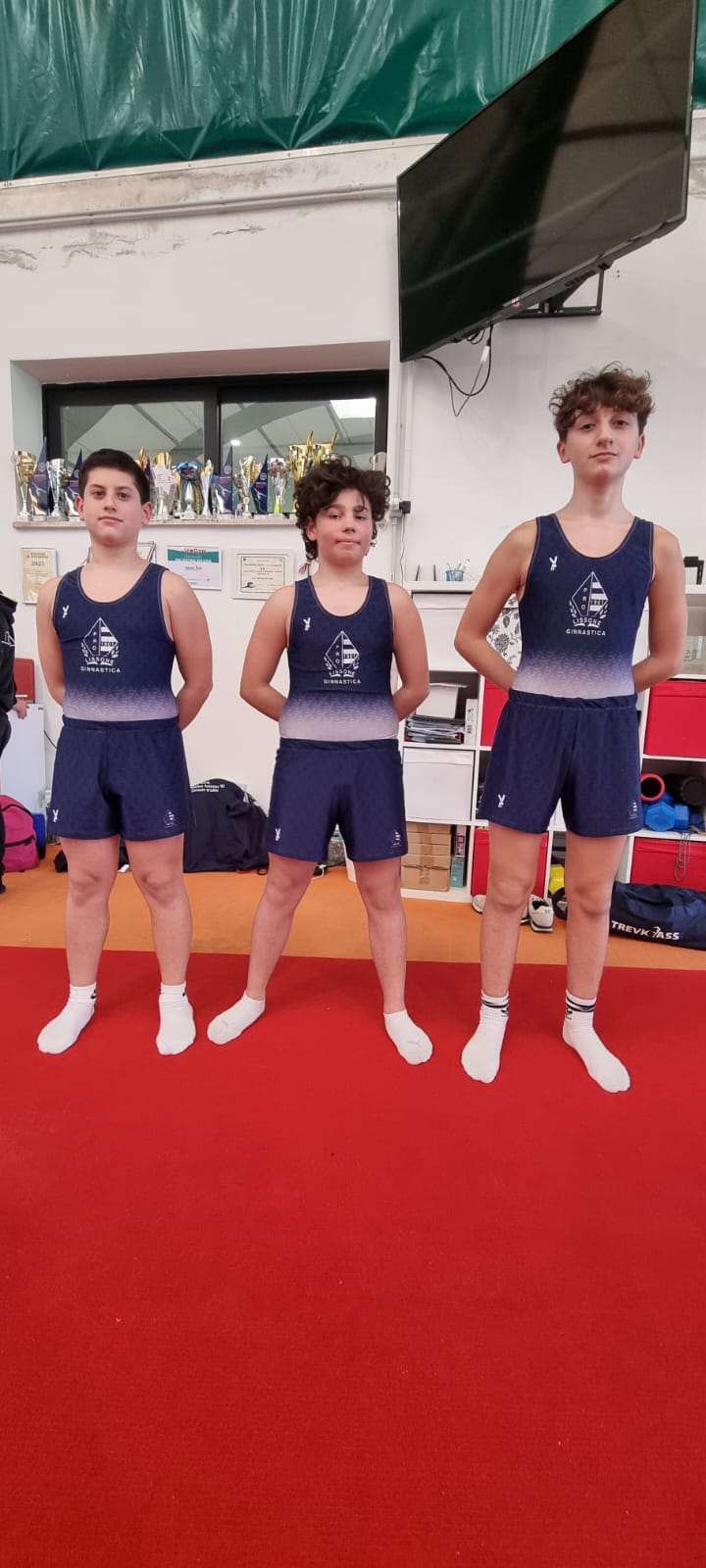 Pro Lissone ginnastica