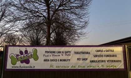 In pensione da Fusi's House 4 pets di Lissone: il "villaggio vacanze" dei vostri amici a quattro zampe!