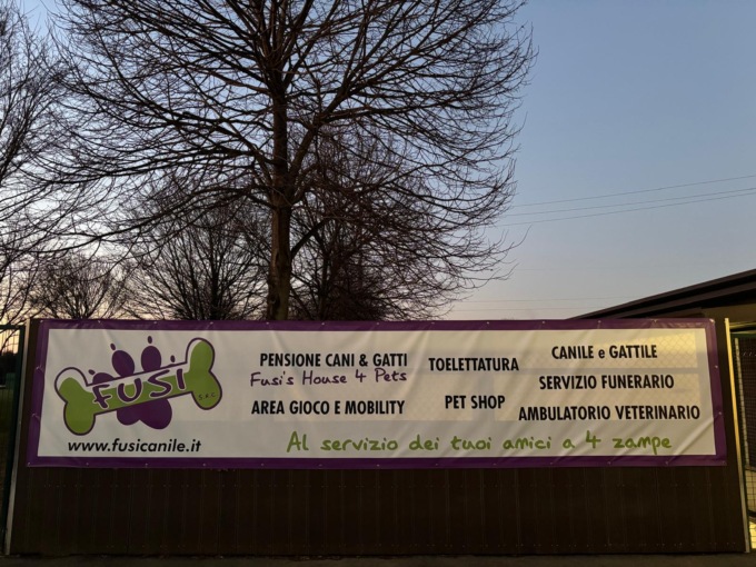 In pensione da Fusi’s House 4 pets di Lissone: il “villaggio vacanze” dei vostri amici a quattro zampe!