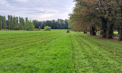 Obbiettivi e attività del nuovo appalto per il verde comunale a Cesano Maderno