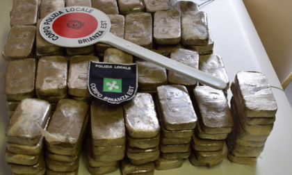 Ritrovamento record della Locale: 15 kg di hashish nascosti in paese