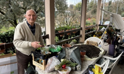 Ladri buongustai rubano frutta e verdura