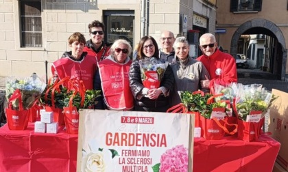 Gardenie e ortensie contro la sclerosi multipla: i volontari in piazza