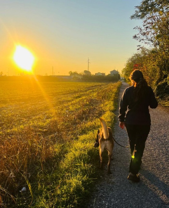 In partenza un corso di formazione per ottenere il Patentino per cani