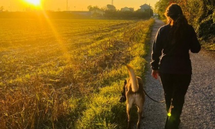 In partenza un corso di formazione per ottenere il Patentino per cani