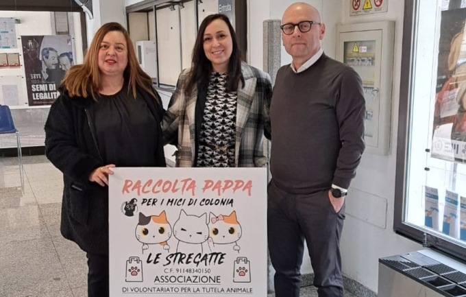 Un punto raccolta pappe per i gatti delle colonie feline