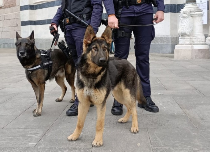 L’Unità Cinofila di Monza in supporto alle polizie locali di altri comuni