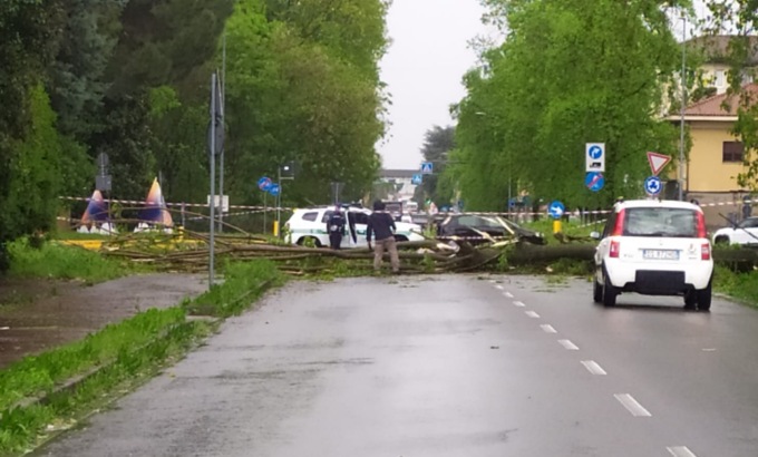 Maltempo, albero precipita sulla strada: traffico in tilt verso Taccona