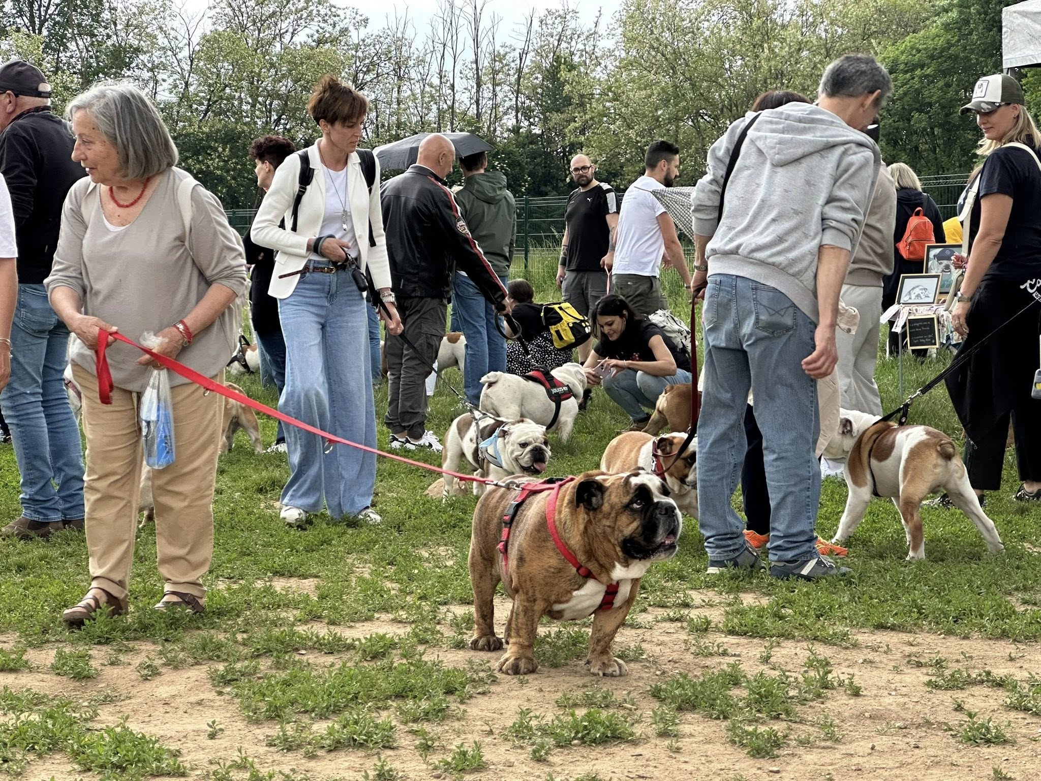 28° #BulldogDay a Seregno (11)
