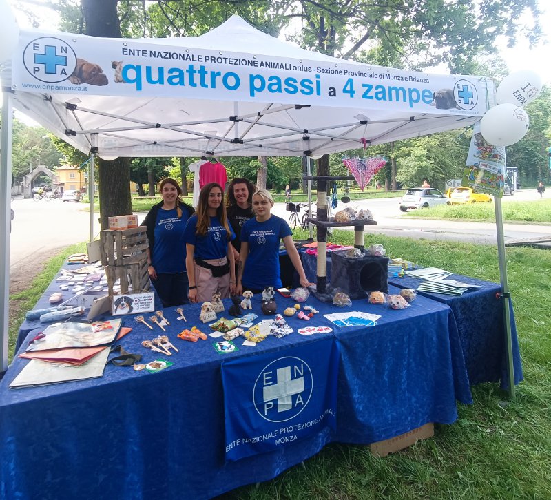 4 passi banco gadgete_144200