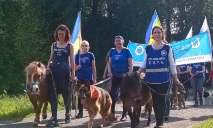 Torna la storica "4 Passi a 4 Zampe" al Parco di Monza: come iscriversi