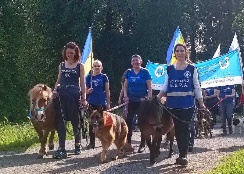 4 passi pony_-165746