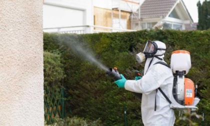 Caso sospetto di Dengue, scatta la disinfestazione straordinaria