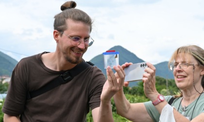 Arriva il BioBlitz, tutti alla ricerca delle farfalle
