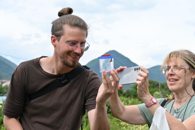 Arriva il BioBlitz, tutti alla ricerca delle farfalle