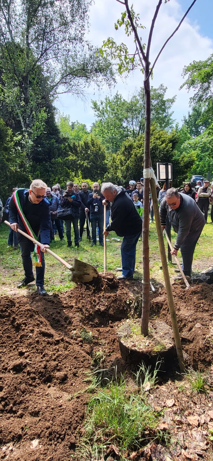 Feste dell'Albero GG - 4