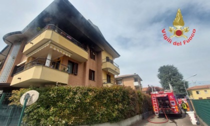 Incendio nell'appartamento, muore un gatto