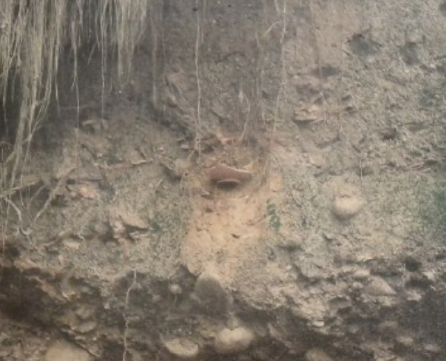 Scavi a Brugora sulle rive del Pegorino alla scoperta dell’antica fornace romana