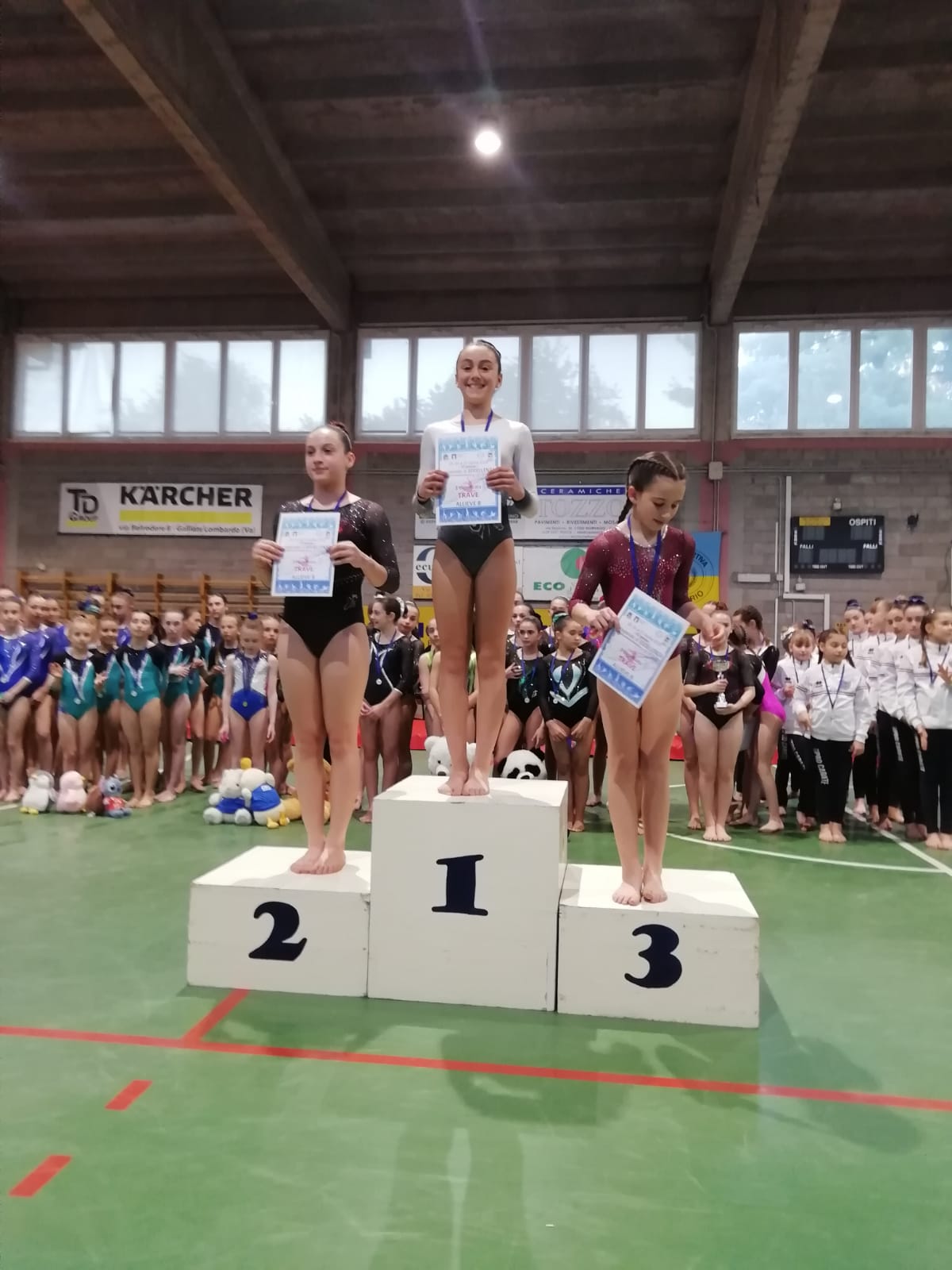 Pro Lissone ginnastica