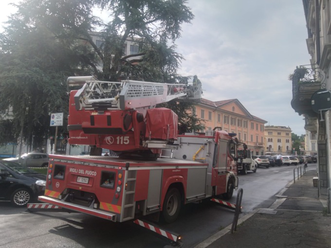 Grosso ramo si spezza e precipita al suolo, tragedia sfiorata