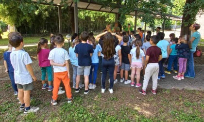 Liberate 400 coccinelle nei giardini delle scuole
