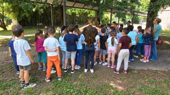 Liberate 400 coccinelle nei giardini delle scuole